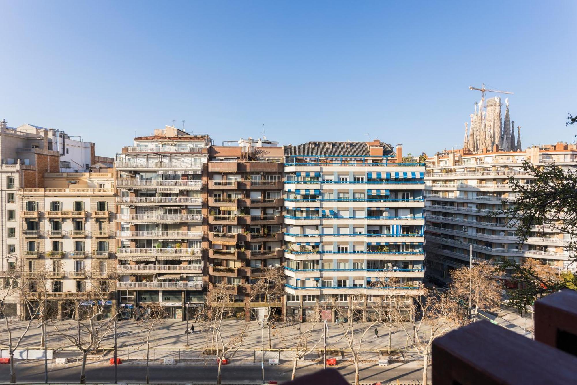 The Best Apartment